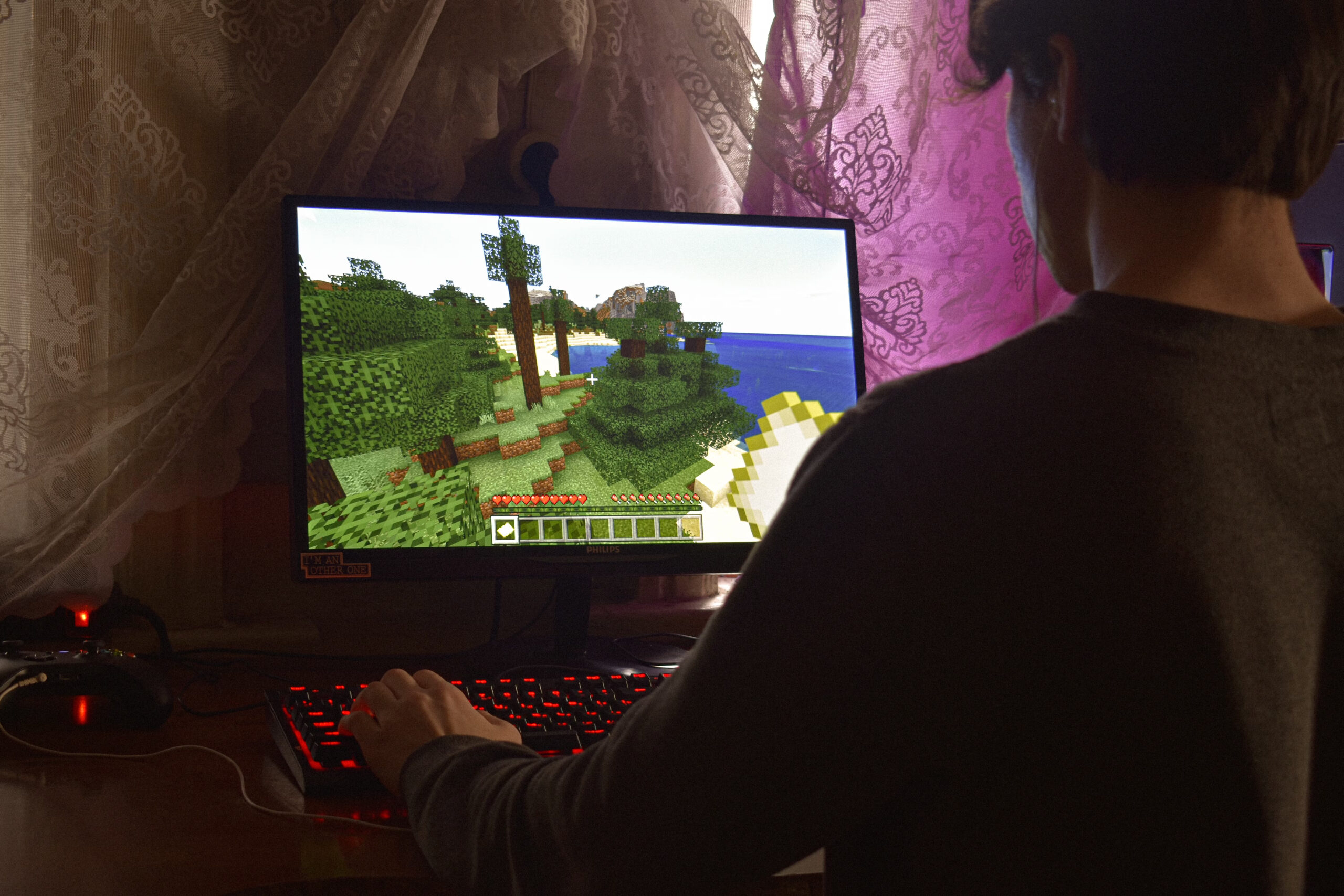 Гра в Minecraft